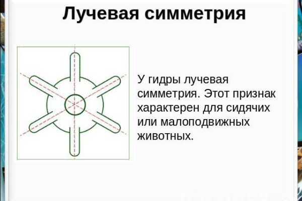 Можно ли вывести деньги с кракена