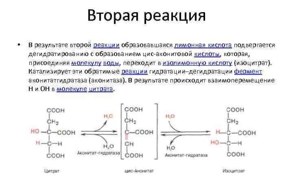 Как восстановить доступ к аккаунту кракен