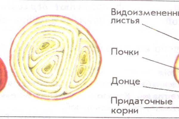 Как войти на сайт кракен