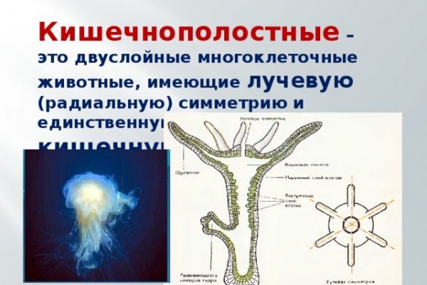 Актуальный адрес кракена